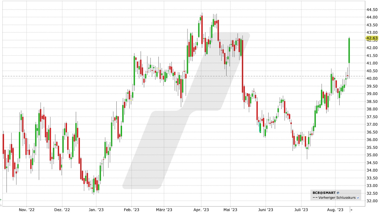 Bechtle Aktie: Chart vom 11.08.2023, Kurs: 42,63 EUR, Kürzel: BC8 | Quelle: TWS | Online Broker LYNX Bechtle Aktie: Chart vom 11.08.2023, Kurs: 42,63 EUR, Kürzel: BC8 | Quelle: TWS | Online Broker LYNX