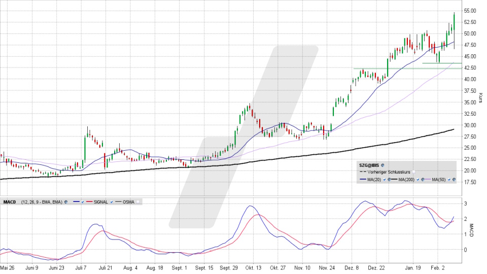 Salzgitter Aktie: Tages-Chart vom 10.02.2026, Kurs 54,00 Euro, Kürzel: SZG | Quelle: TWS | Online Broker LYNX