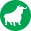bullish